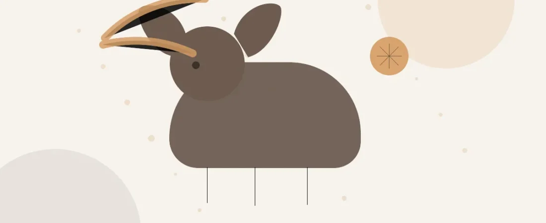 Flea Infestation in a House With Dogs: A Calm Room-by-Room Plan