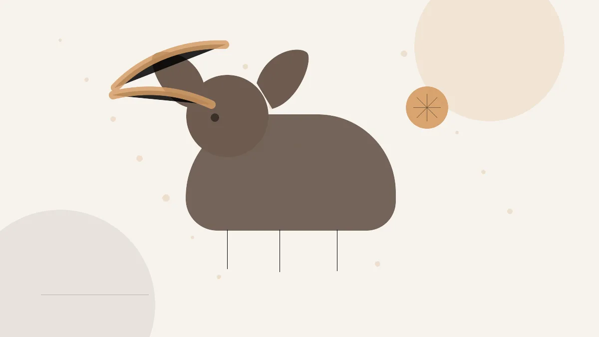 Flea Infestation in a House With Dogs: A Calm Room-by-Room Plan